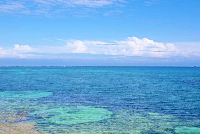 沖縄の海はなぜきれい？